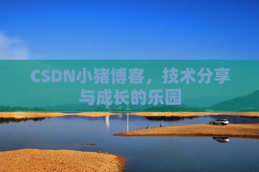 CSDN小猪博客,技术分享与成长的乐园